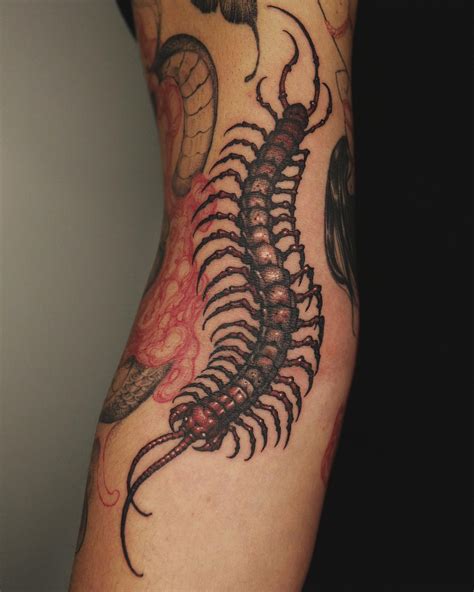 Unleash Your Wild Side with a Centipede Spine Tattoo